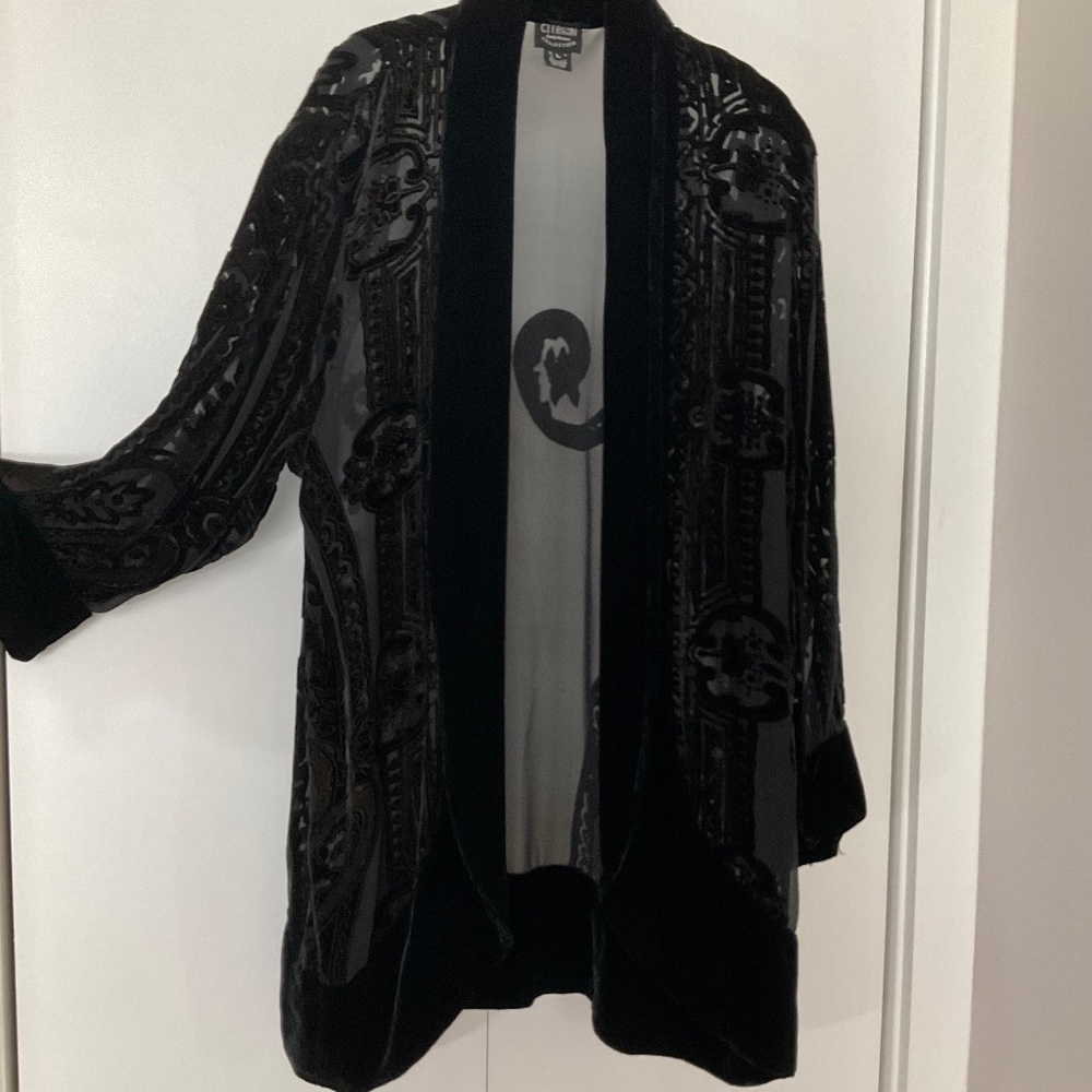 Citron Devore 2 Piece Jacket And Pants Cocktail S… - image 2